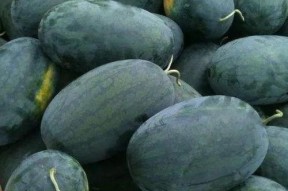 NGA娱乐吃瓜区,揭秘娱乐圈幕后故事，带你领略明星们的真实生活