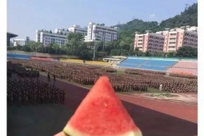 学姐吃瓜娱乐,揭秘校园八卦背后的故事