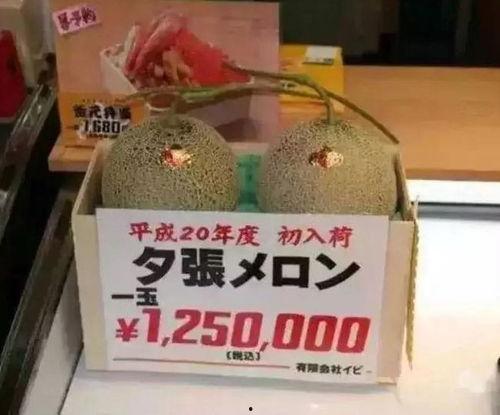 娱乐吃瓜场地有哪些,热门吃瓜场地大盘点